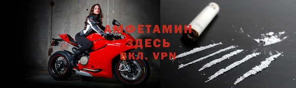 прущие грибы Володарск